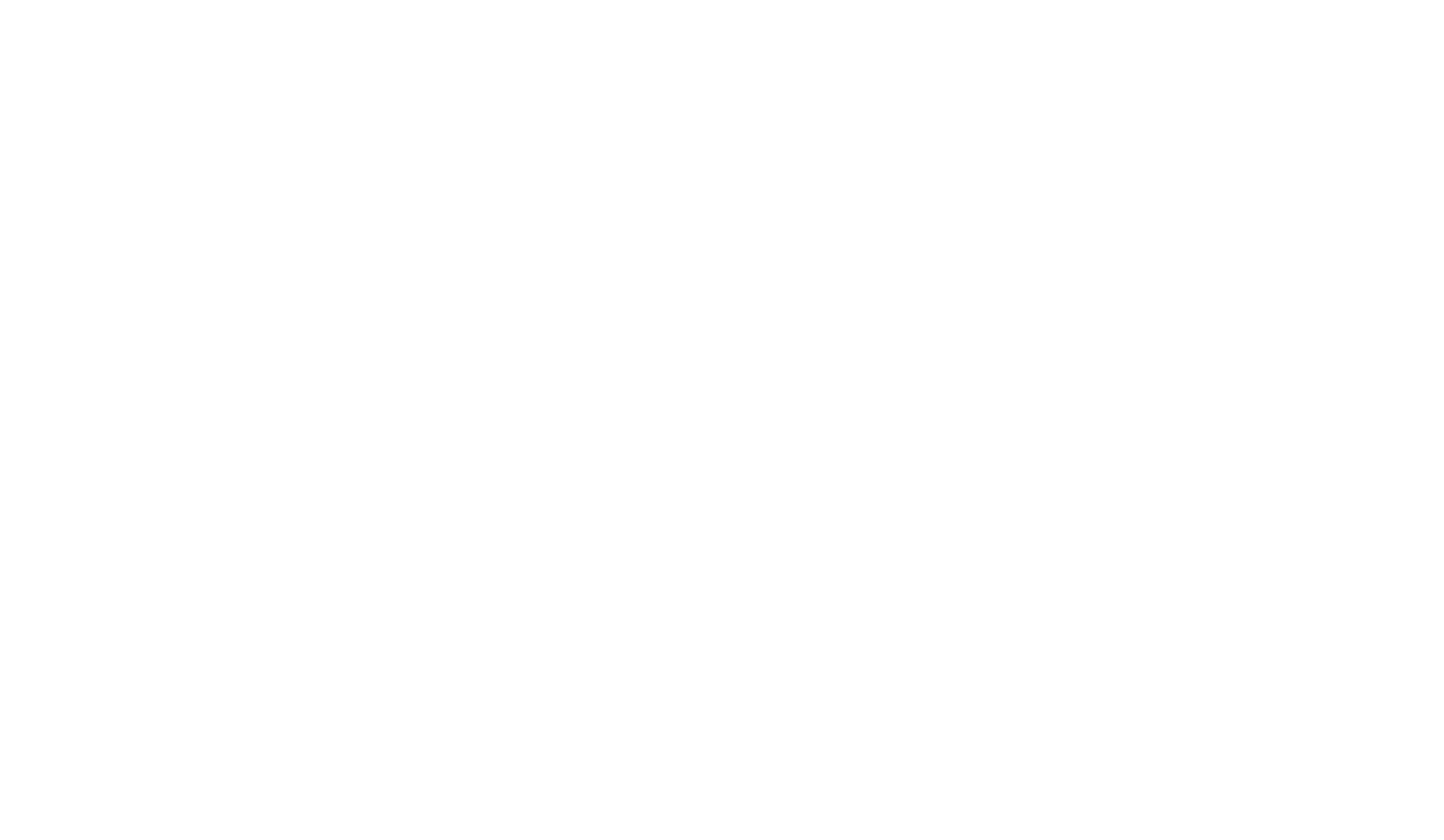 Cynamon logo