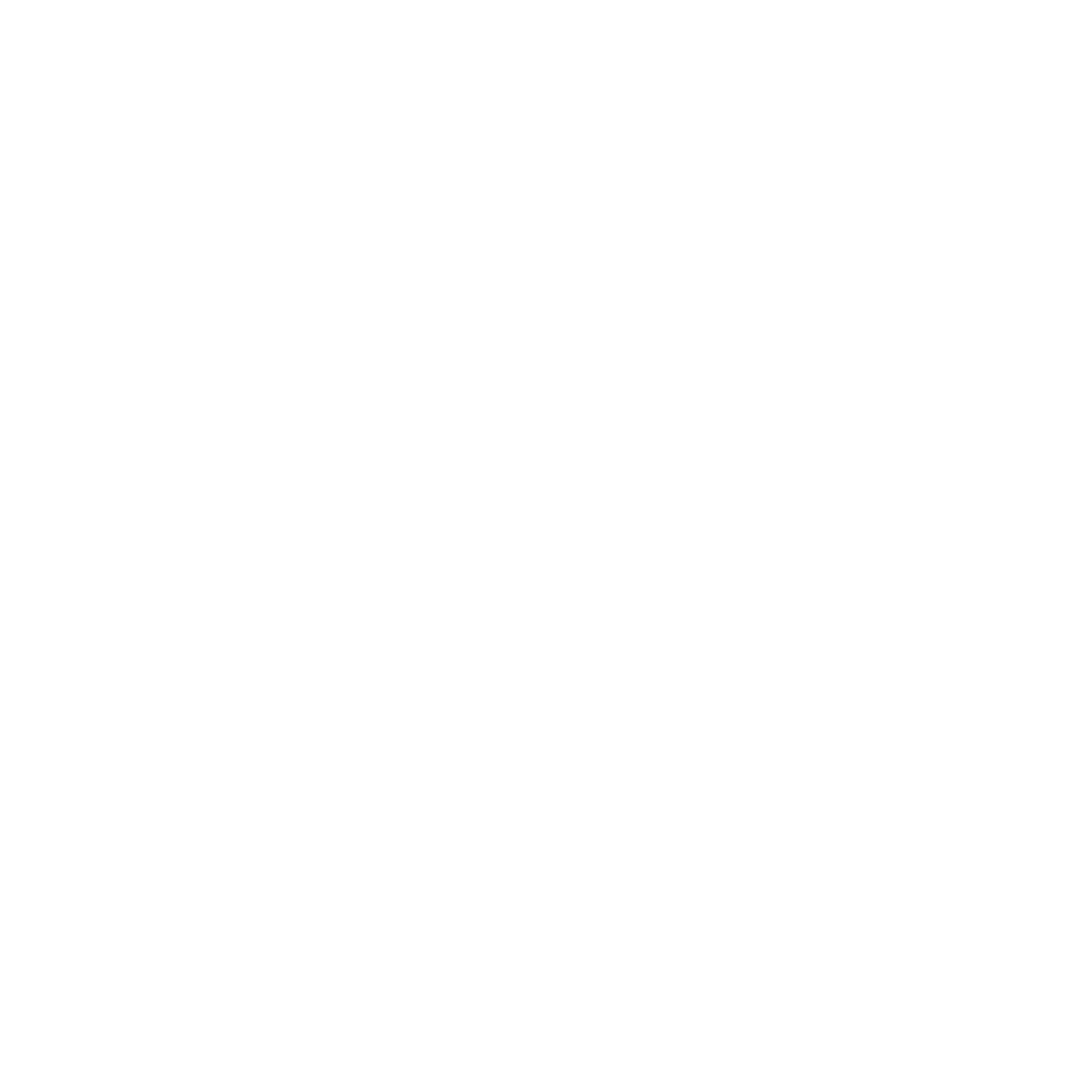 Team Spirit Whisky logo